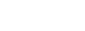 Brussels Airport Logo